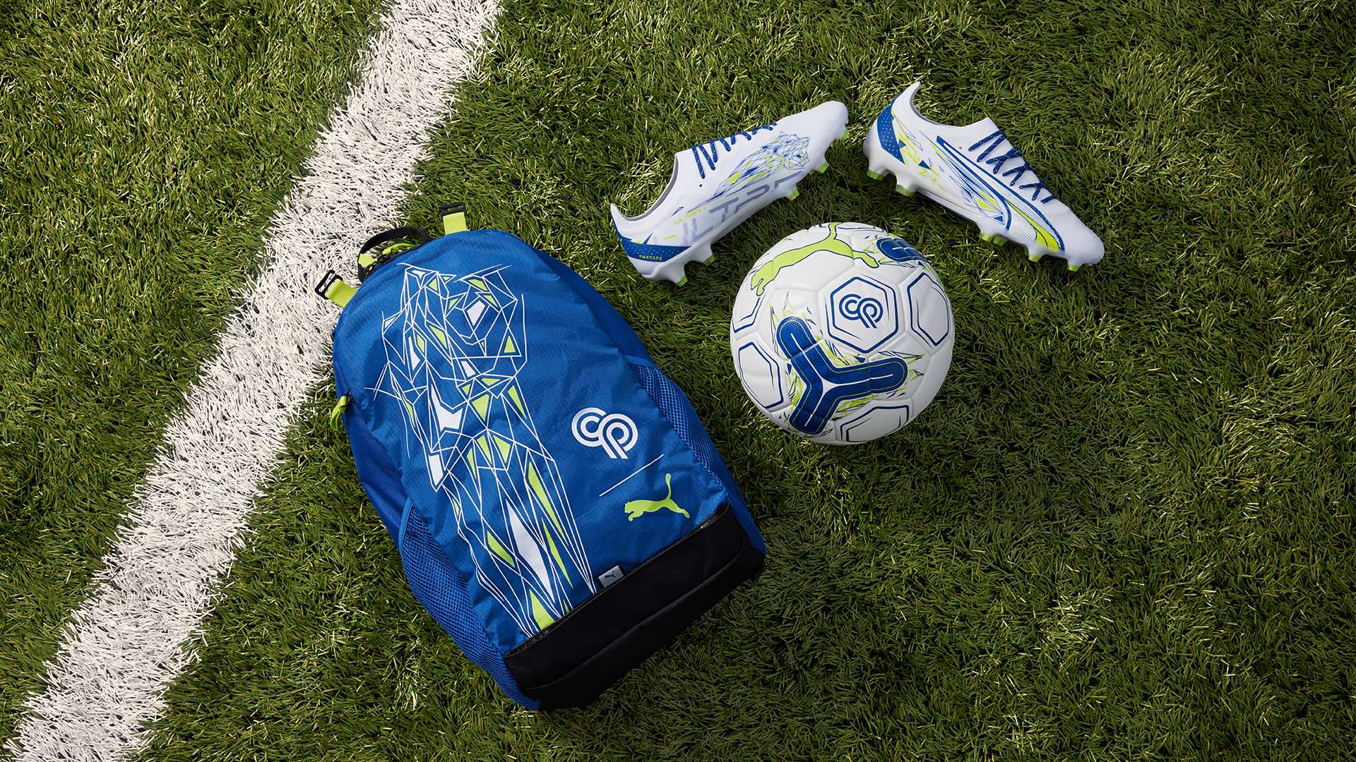 争者来维持 争者来维持