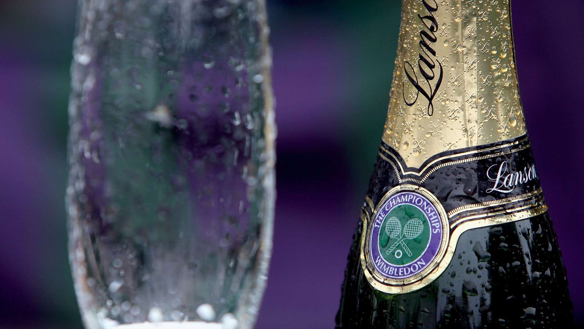 也可能成为 也可能成为